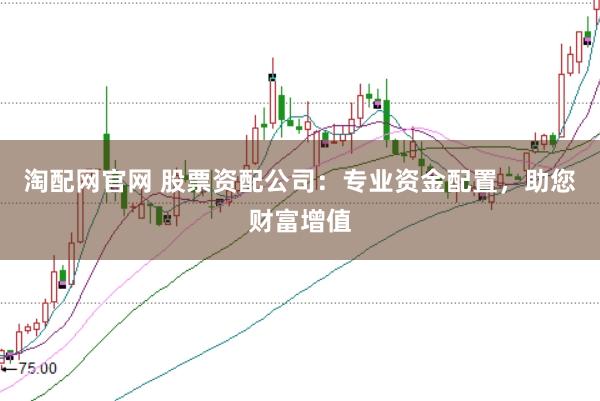 淘配网官网 股票资配公司：专业资金配置，助您财富增值