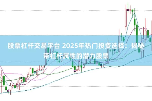 股票杠杆交易平台 2025年热门投资选择：揭秘带杠杆属性的潜力股票