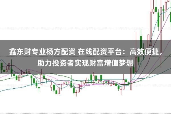 鑫东财专业杨方配资 在线配资平台：高效便捷，助力投资者实现财富增值梦想