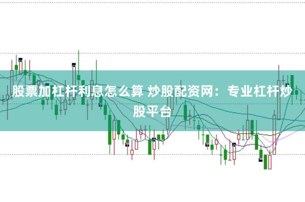 股票加杠杆利息怎么算 炒股配资网：专业杠杆炒股平台