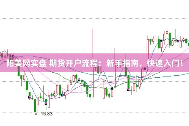 阳美网实盘 期货开户流程：新手指南，快速入门！
