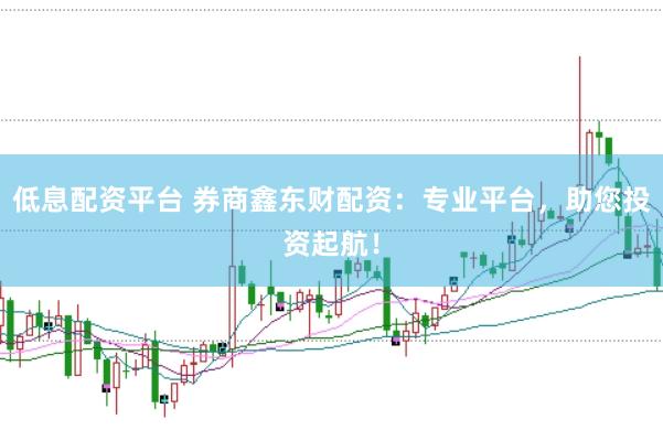 低息配资平台 券商鑫东财配资：专业平台，助您投资起航！