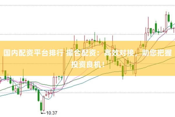 国内配资平台排行 撮合配资：高效对接，助您把握投资良机！