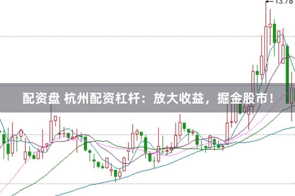 配资盘 杭州配资杠杆：放大收益，掘金股市！