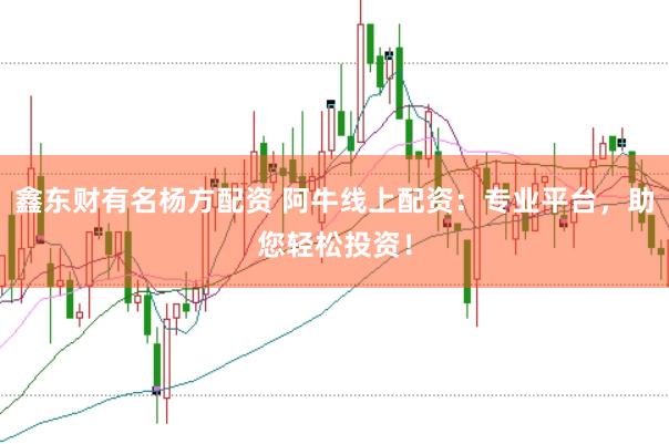鑫东财有名杨方配资 阿牛线上配资：专业平台，助您轻松投资！