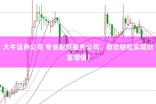 大牛证券公司 专业配资服务公司，助您轻松实现财富增值！