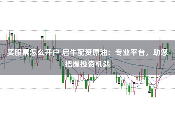 买股票怎么开户 启牛配资原油：专业平台，助您把握投资机遇