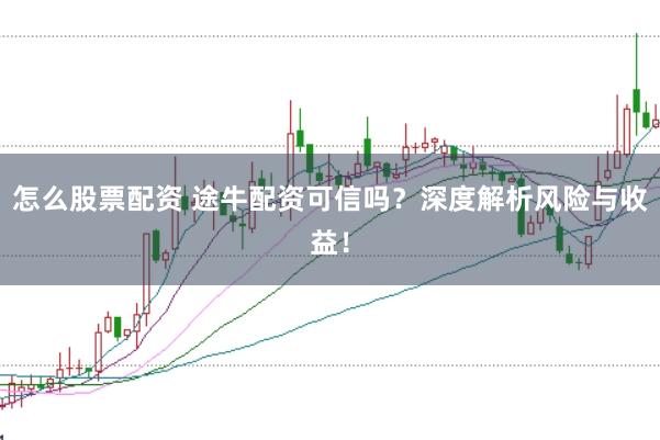 怎么股票配资 途牛配资可信吗?深度解析风险与收益!
