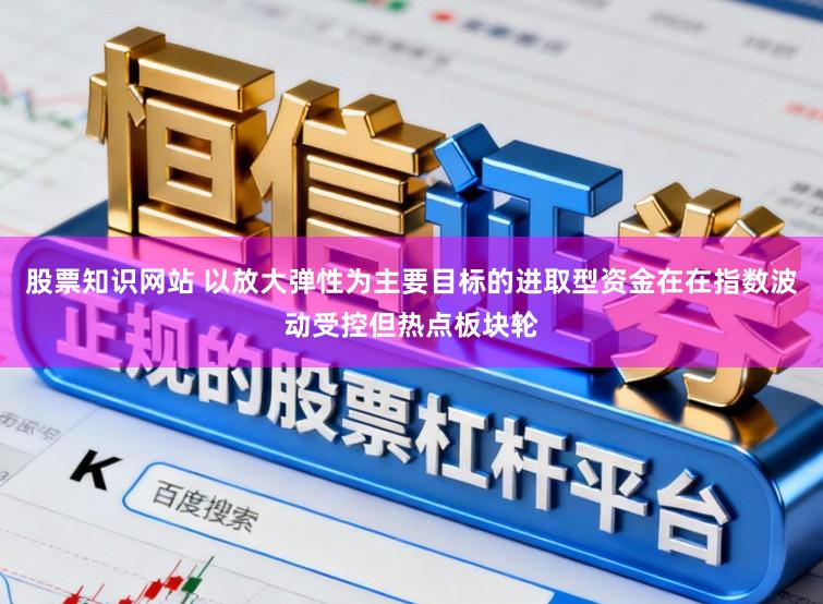 股票知识网站 以放大弹性为主要目标的进取型资金在在指数波动受控但热点板块轮