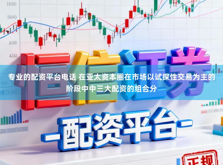 专业的配资平台电话 在亚太资本圈在市场以试探性交易为主的阶段中中三大配资的组合分